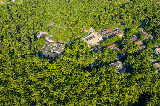 航拍海南文昌东郊椰林风景区