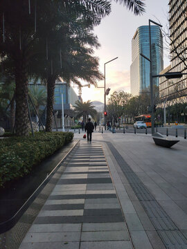 清晨下的城市街景