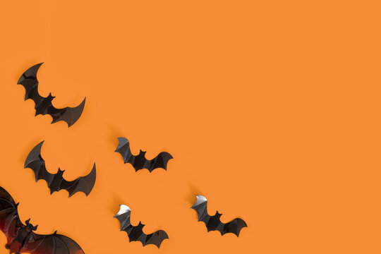 蝙蝠创意恐怖搞怪主题万圣节