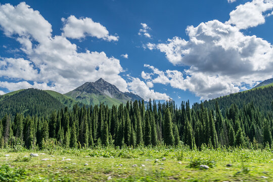 新疆的高原砂石路背景