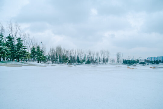 高尔夫球场雪景