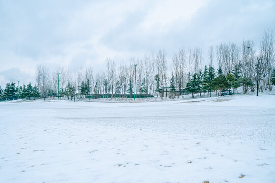 高尔夫球场雪景