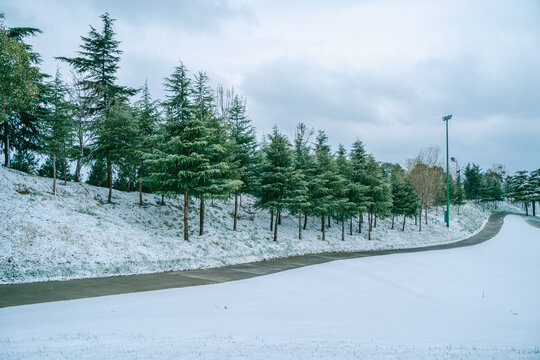 高尔夫球场雪景