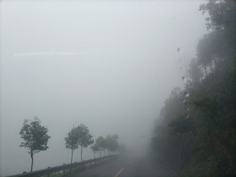 雾与路