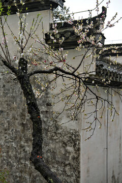 婺源