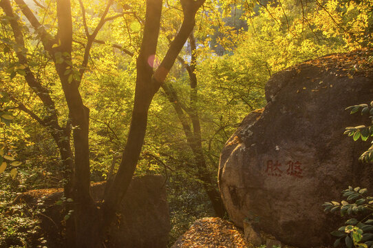 丰州九日山山林秋韵