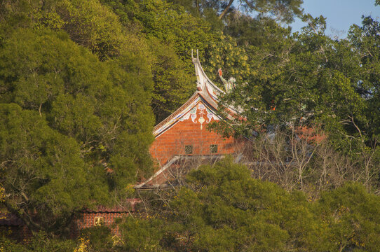 登台庙掠影