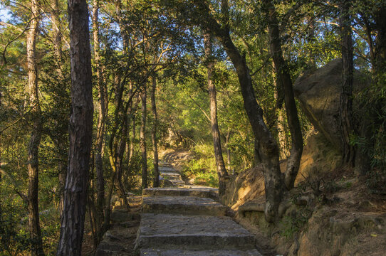 九日山休闲漫道