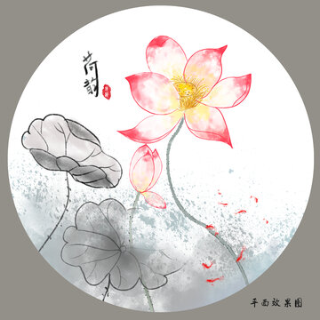 荷花插画