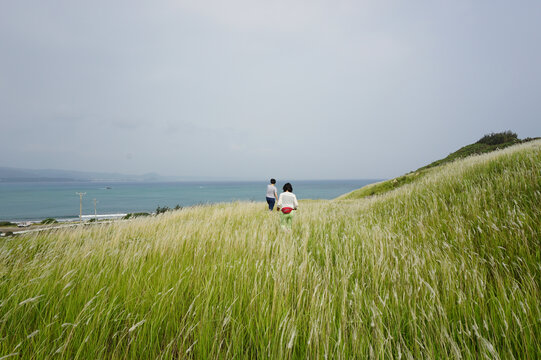 海边草场