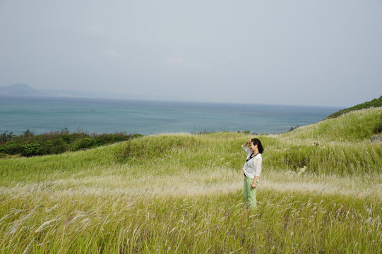 海边草场