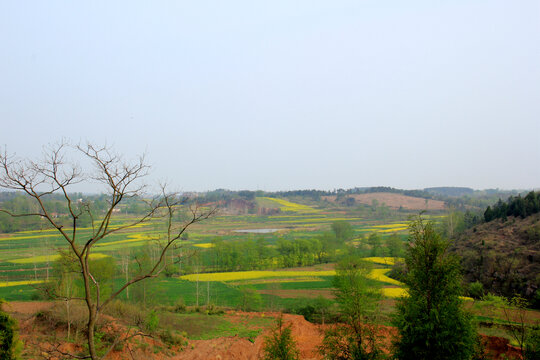 春满山乡