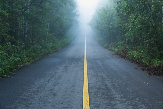 清晨大雾森林公路