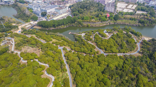 深圳横岗塘坑水库