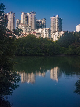 三亚河湿地晨景