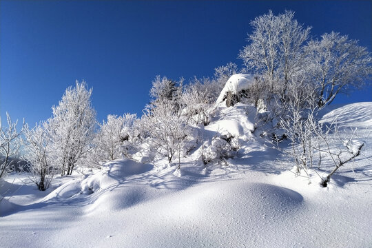 雪景