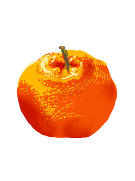 手绘丑橘