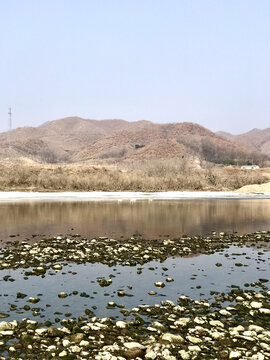 远处朦胧的天鹅