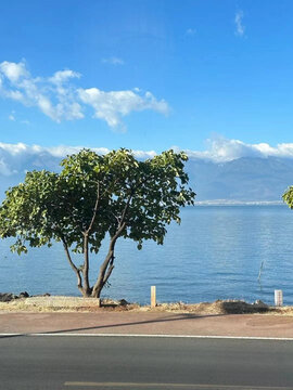 大理城市和洱海自然景观拍摄