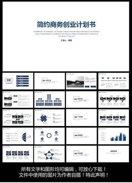 简约商务创业计划书ppt