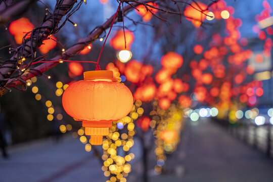 沈阳街头树枝上悬挂的红灯笼