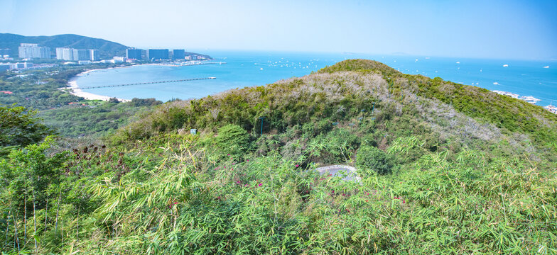 大东海全景