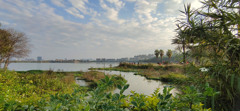 湖景