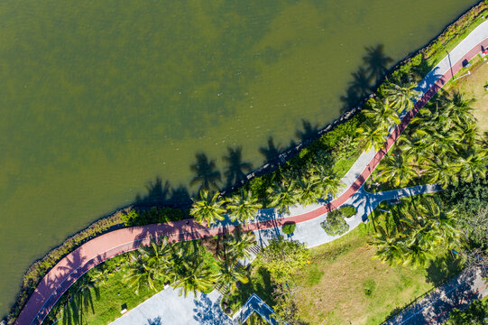 航拍海口红城湖公园热带椰子树