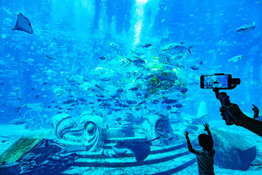 水族馆看鱼的小孩