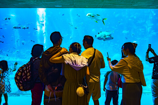 水族馆的游客们