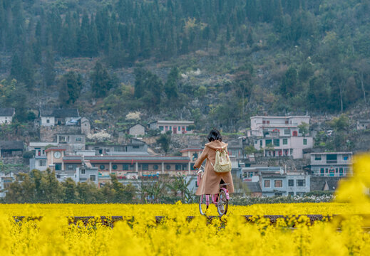 贵州兴义万峰林油菜花开