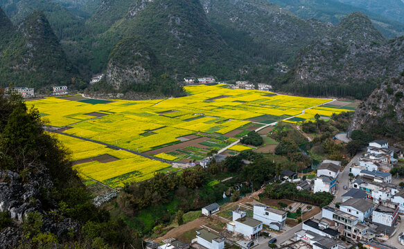 贵州兴义万峰林油菜花开