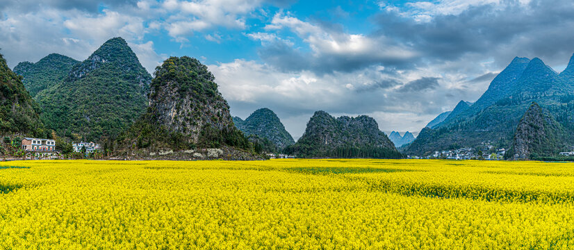 贵州兴义万峰林油菜花开