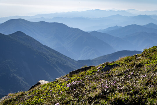 秦岭太白山