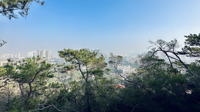 厦门户外风景