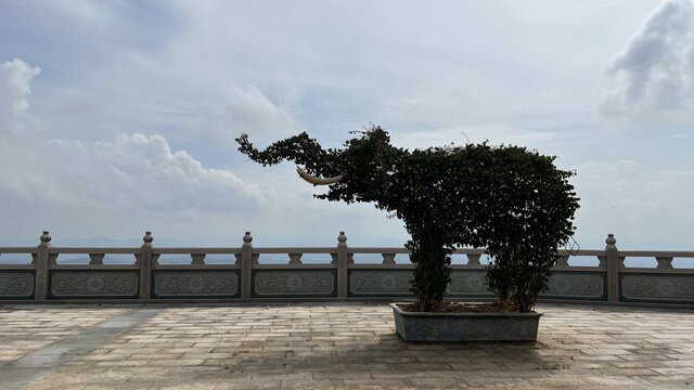 厦门户外风景