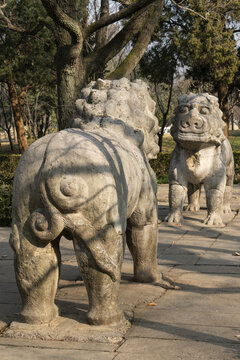 京明孝陵石象路狮子雕塑