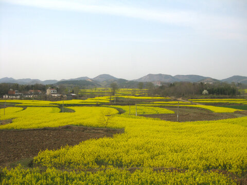 田野风光