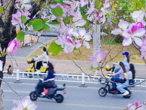 电动车