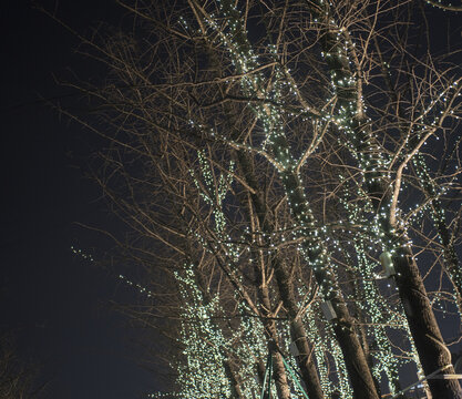 杭州钱江世纪城公园一角夜景
