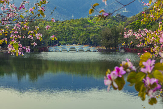 春暖花开的七星岩风光