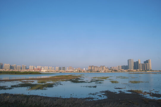 晋江河口湿地城市远观