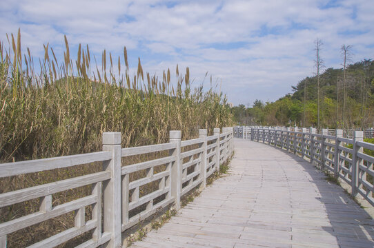 崎山公园步道