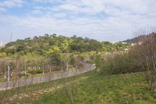 晋江崎山山地