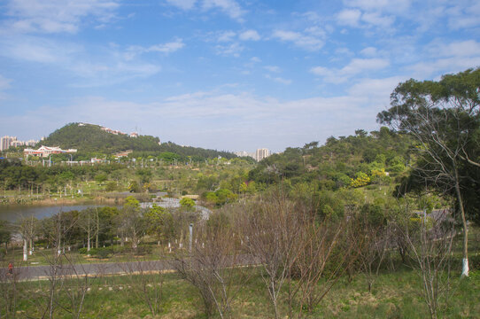 晋江崎山园林风情