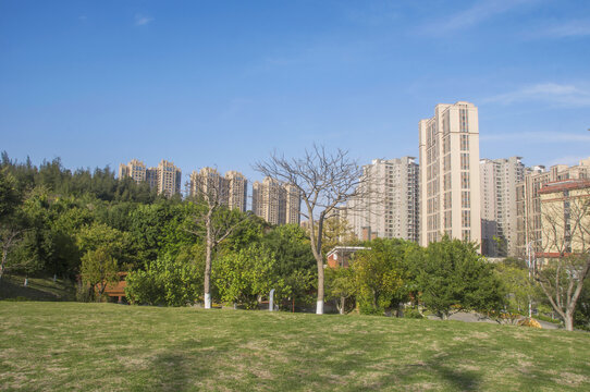 晋江城市公园与楼房