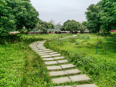 游览步道