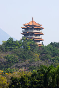 风景