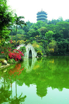 风景
