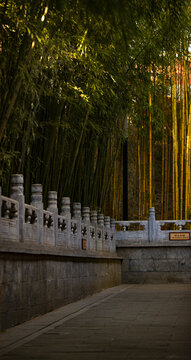 潭柘寺